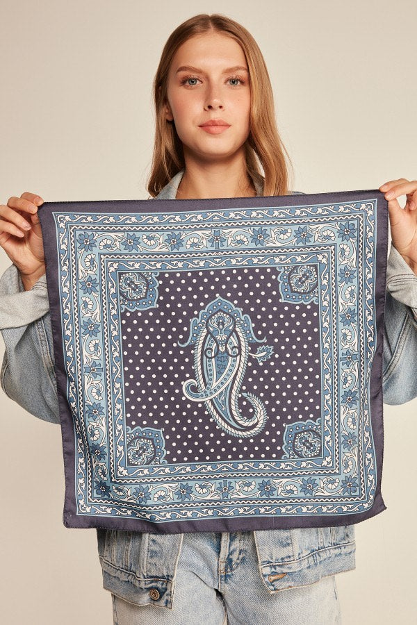 13935 - Navy Paisley